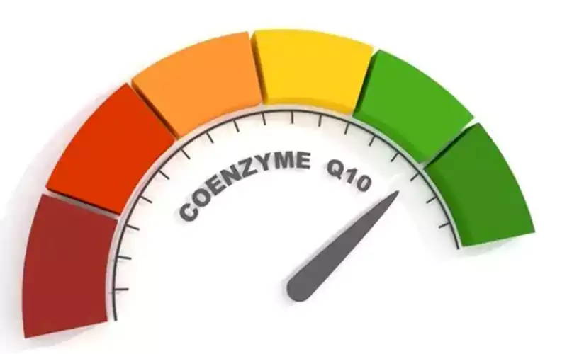 Coenzyme Q10 for Cancer Treatment